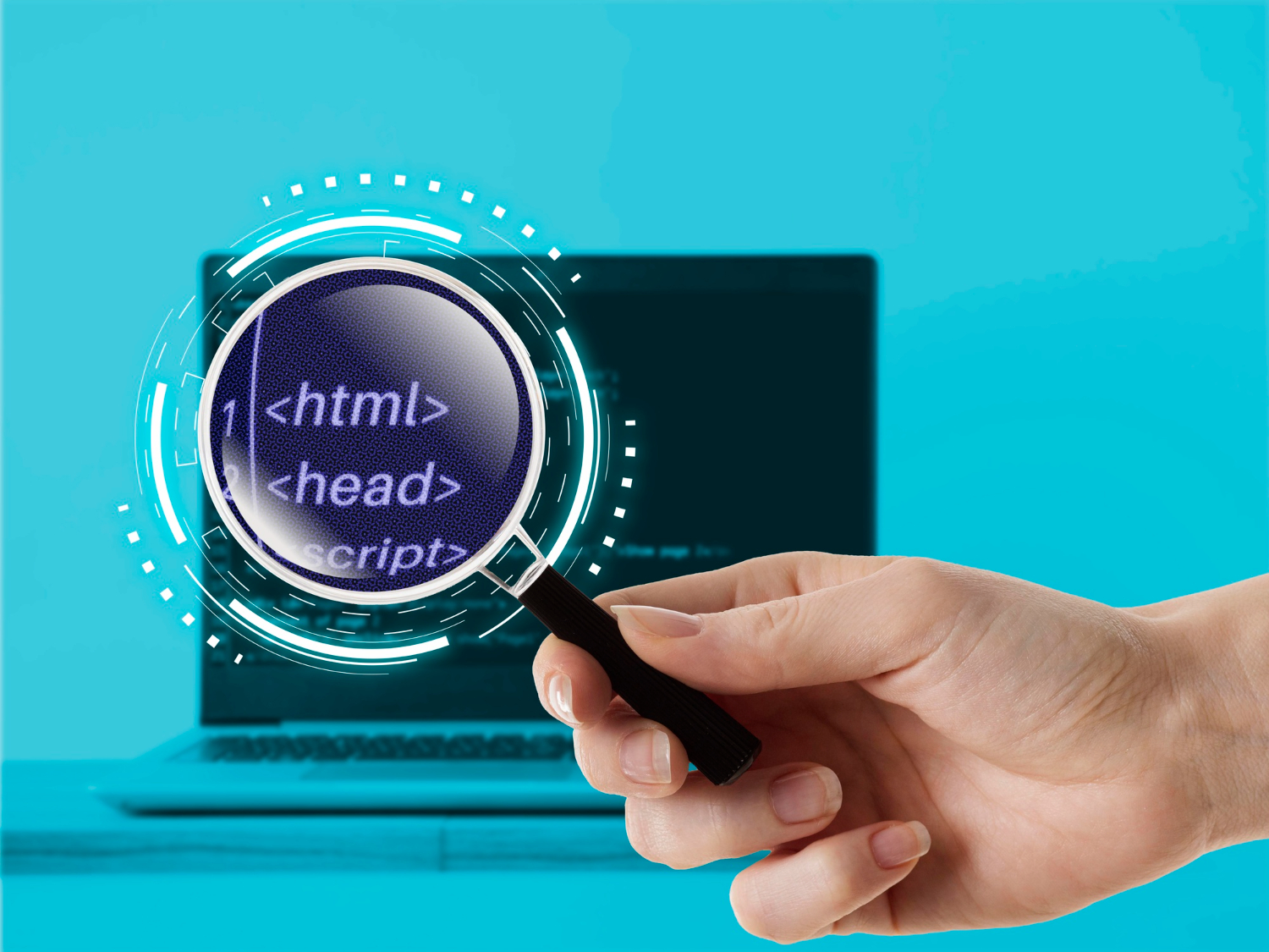 lupa skierowana w ekran laptopa